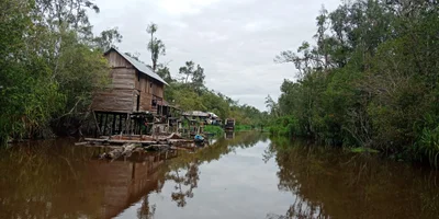 West Kotawaringin - Photo 5
