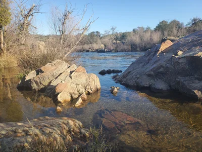 Knights Ferry - Photo 3