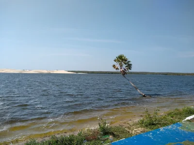Portinho - Photo 3