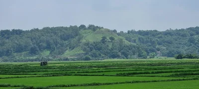 Arayat - Photo 2