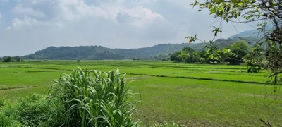 Arayat - Photo 5