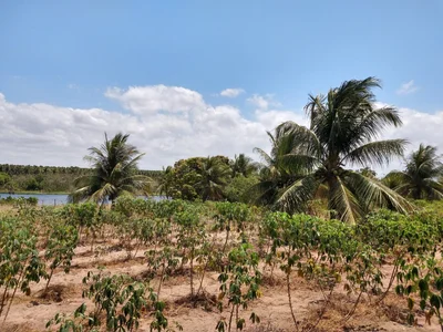 Paraipaba - Photo 2