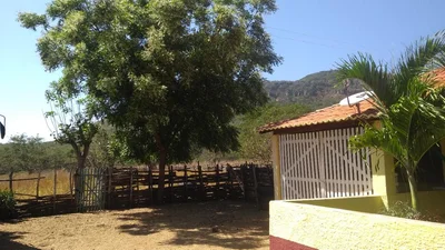 Cocal - Photo 3