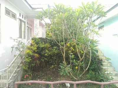 Suli - Photo 3