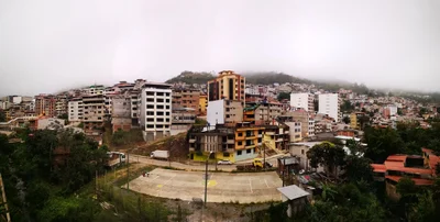 Pinas - Photo 3