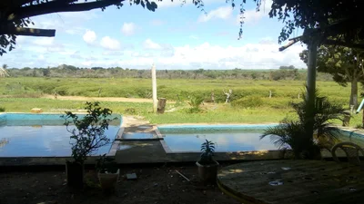 Ubajara - Photo 4