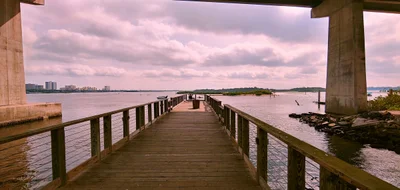 Port Orange - Photo 3