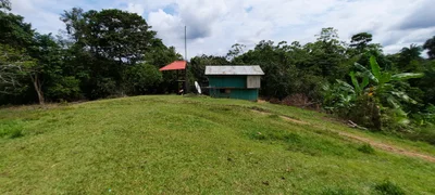 Yavari - Photo 3