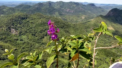 MIrante Pedra do Bacamarte - Photo 4