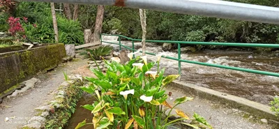 San Pedro de Vilcabamba - Photo 2