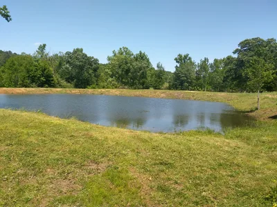 Blountsville - Photo 2