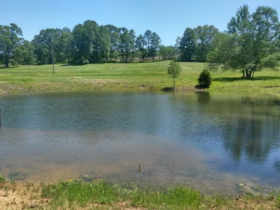 Blountsville - Photo 3