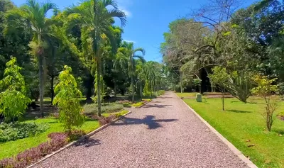 Jardin botanique de Kinshasa - Photo 4