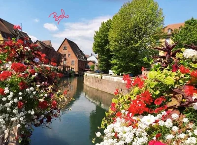 Colmar - Photo 3