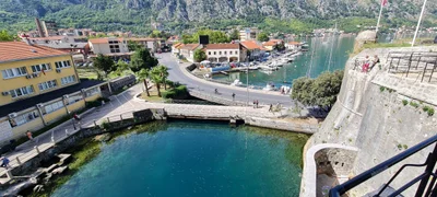 Kotor - Photo 5