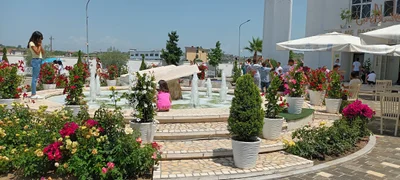 Tirana - Photo 5