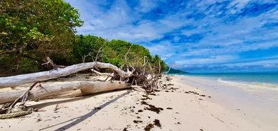 Grand Anse Praslin - Photo 5