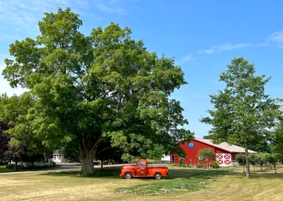 Ottawa County - Photo 5