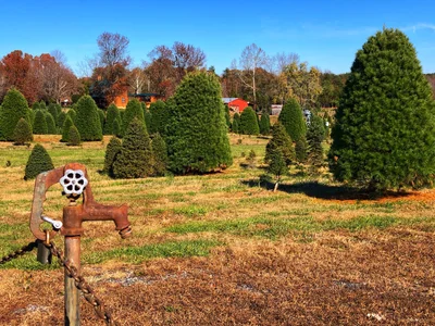Spotsylvania - Photo 2