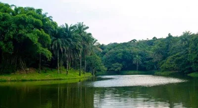 Kimwenza - Photo 4