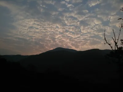 Palanda - Photo 2