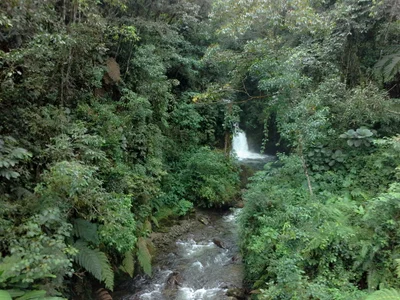 Palanda - Photo 5