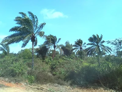 Loango - Photo 3