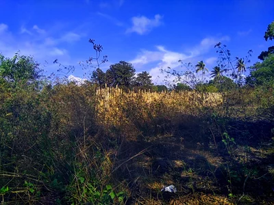 Loango - Photo 5