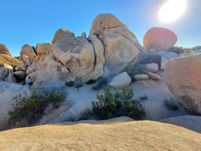 Joshua Tree National Park - Photo 2