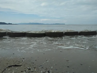 La-ngu - Photo 5