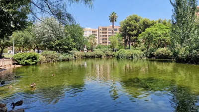 Castelló de la Plana - Photo 4