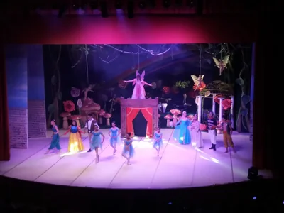 Teatro Municipal Dix-huit Rosado - Photo 4