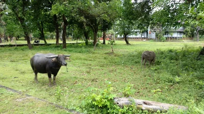 Benteng Somba Opu - Photo 4