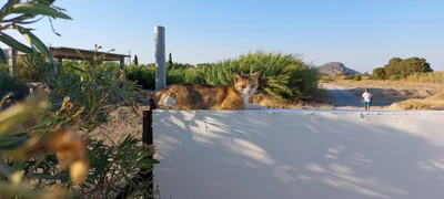 Afandou - Photo 2