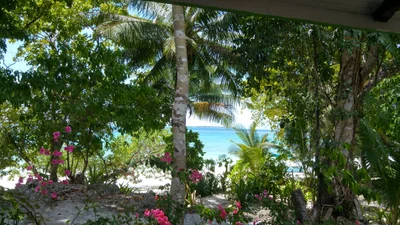 Ohoililir - Photo 2
