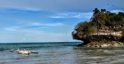 Pongwe - Photo 2