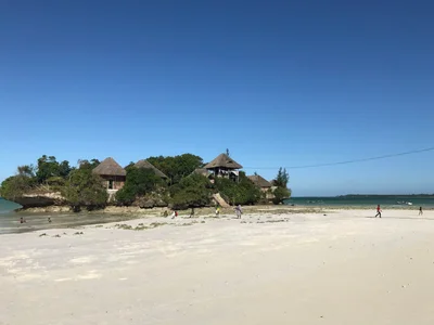 Pongwe - Photo 3