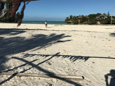 Pongwe - Photo 4