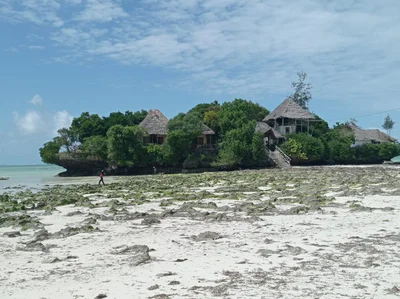 Pongwe - Photo 5