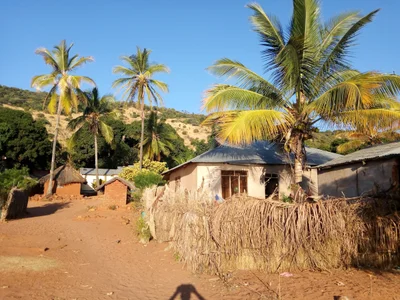 Mpanda - Photo 2