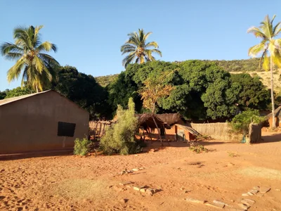 Mpanda - Photo 5