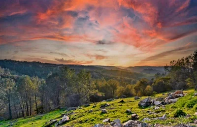 Penn Valley - Photo 2