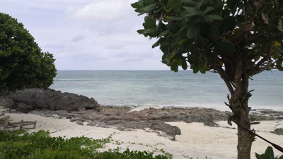 Makunduchi - Photo 2