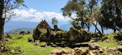 Tingo - Photo 3