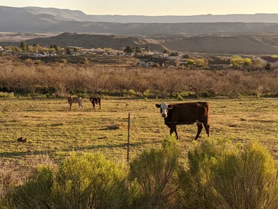 Clarkdale - Photo 2