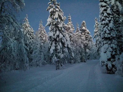 Kittilä - Photo 2