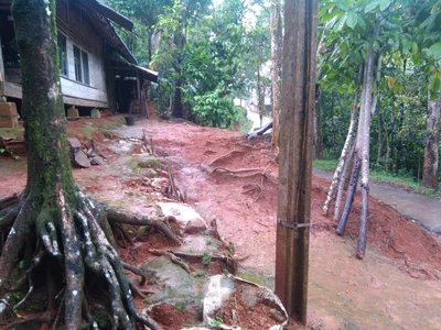 Lebak - Photo 3