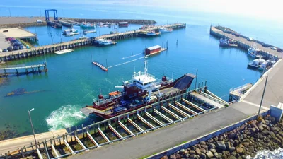 Grand Manan - Photo 2