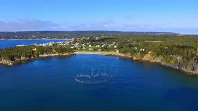 Grand Manan - Photo 4