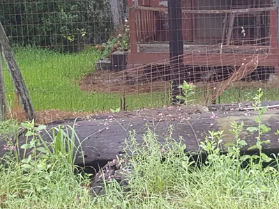 Vernon Parish - Photo 5